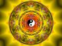 Avatar snelly