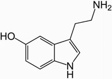 immagine 3 serotonina